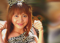 高野あゆみ ワイルドキャット