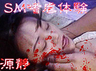 源静 SM嗜虐体験