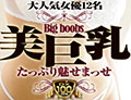 上条めぐ(三浦芽依) 大人気女優12名 美巨乳たっぷり魅せまっせ!!!